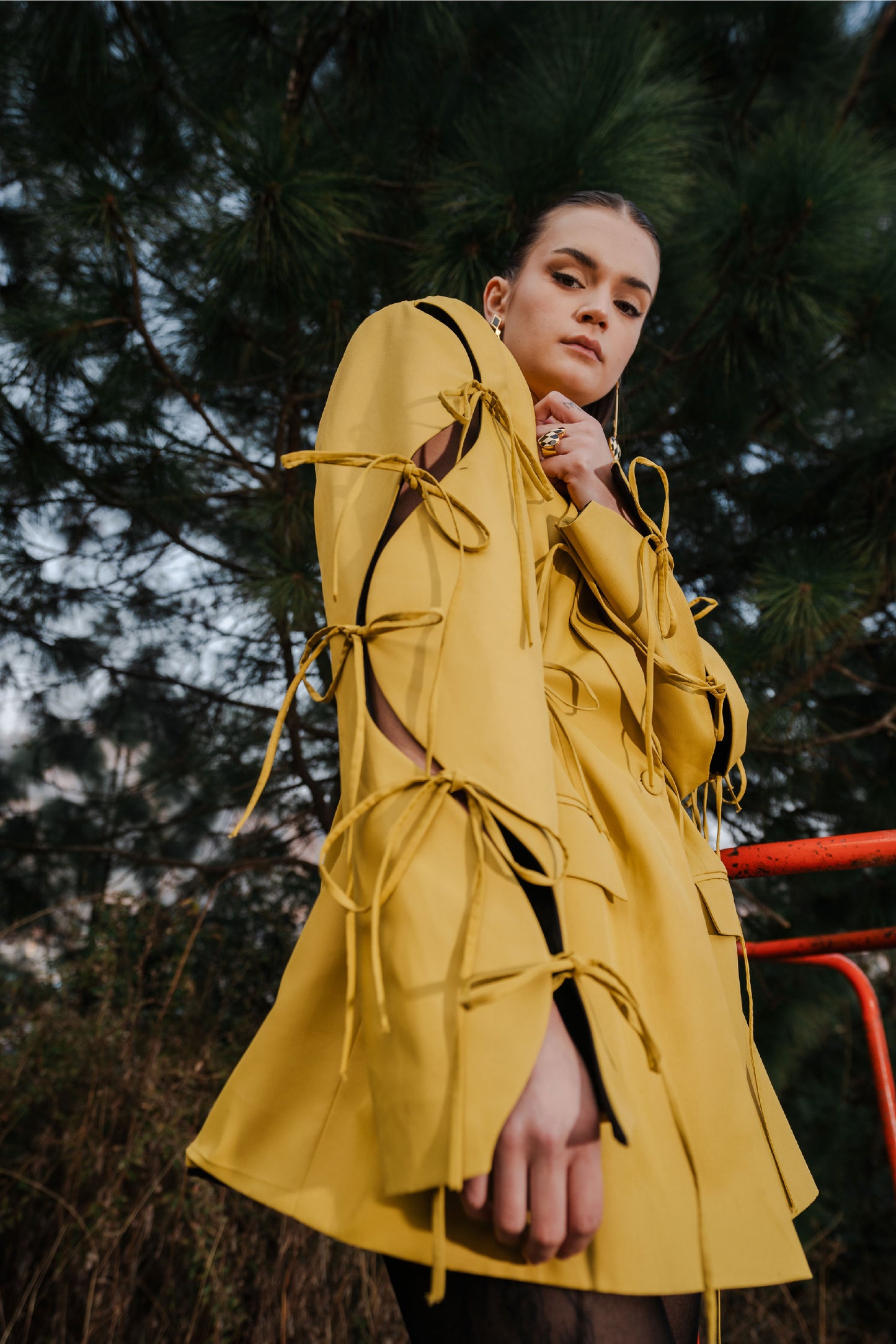 CANARY